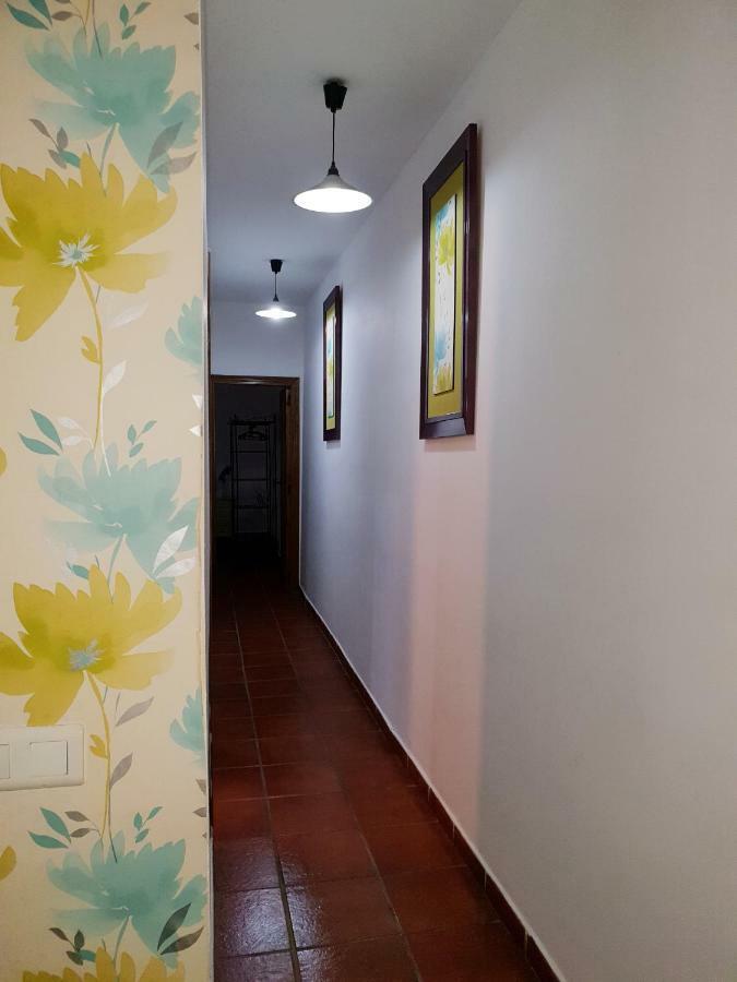 Apartamento La Rana Sevilla Bagian luar foto